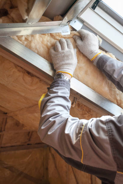 Best Soundproof Insulation Installation  in Guthrie Center, IA